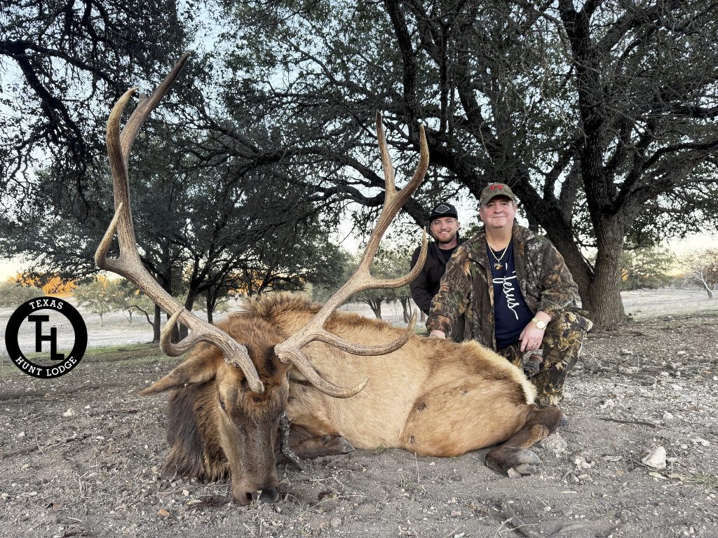 Trophy elk bull taken at Texas Hunt Lodge in the Texas Hill Country