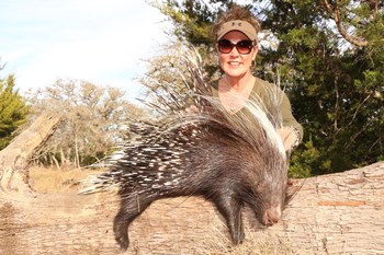African Porcupine Hunt