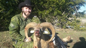 Armenian Mouflon Hunting