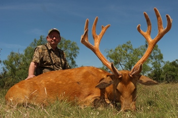 Barasingha Deer Hunting - Texas Hunt Lodge