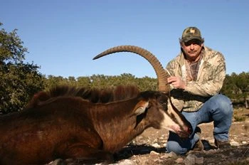 Texas Hill Country guided sable antelope hunts