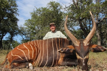 Bongo Antelope Hunting