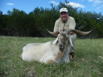 Catalina Goat Hunting