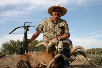Corsican Ram Hunting