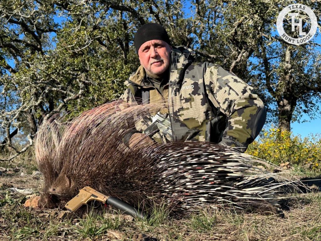 African Porcupine Hunt