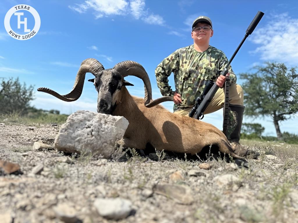 Corsican Ram Hunting