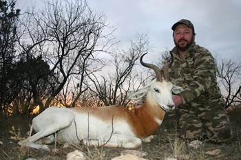Dama Gazelle Hunting