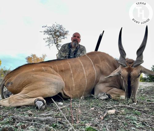 Eland Hunting