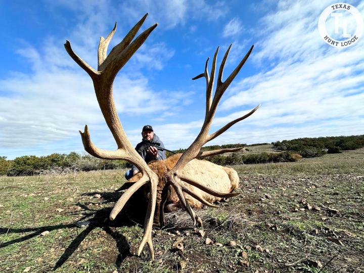 Elk Hunting in Texas