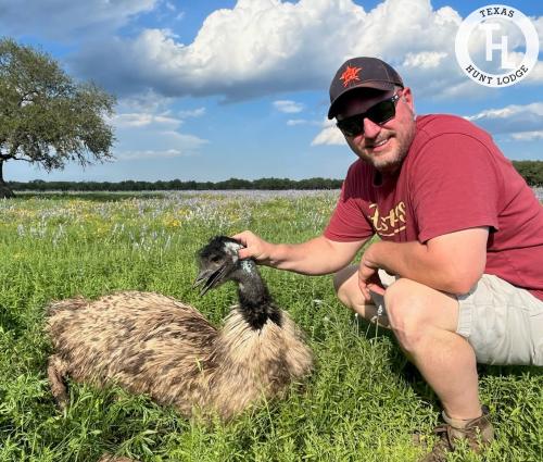 Emu Hunting