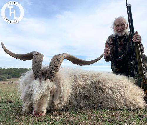 Feral Goat Hunting