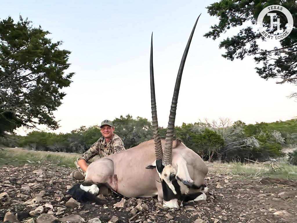 Gemsbok Hunting