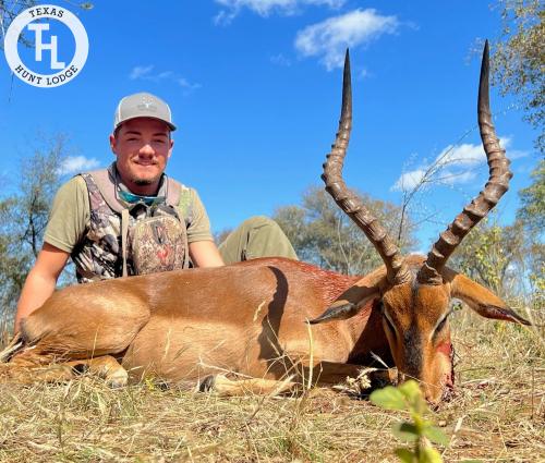 Impala Hunting