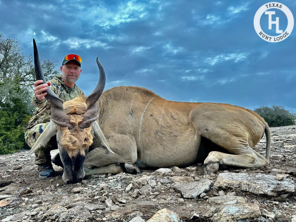 Eland Hunting