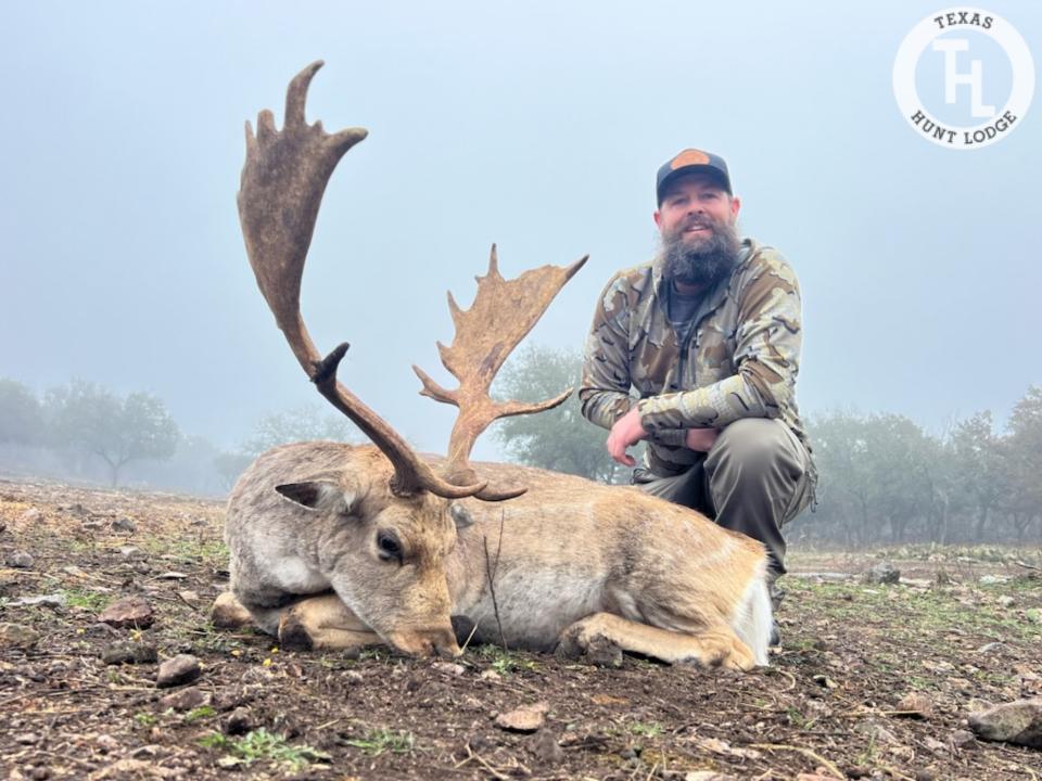 Fallow Deer Hunting