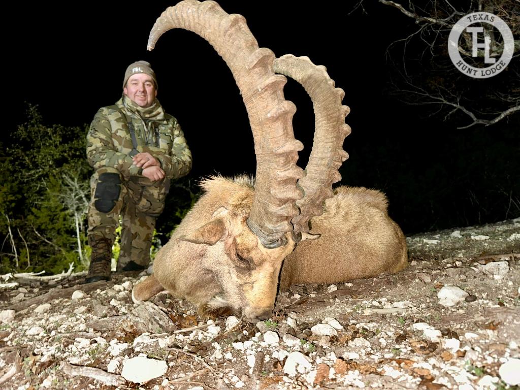 Nubian Ibex Hunting