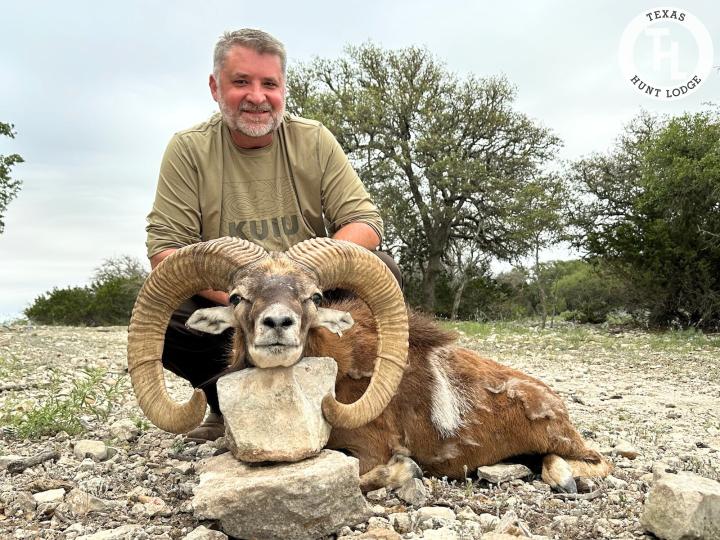 Mouflon Hunting