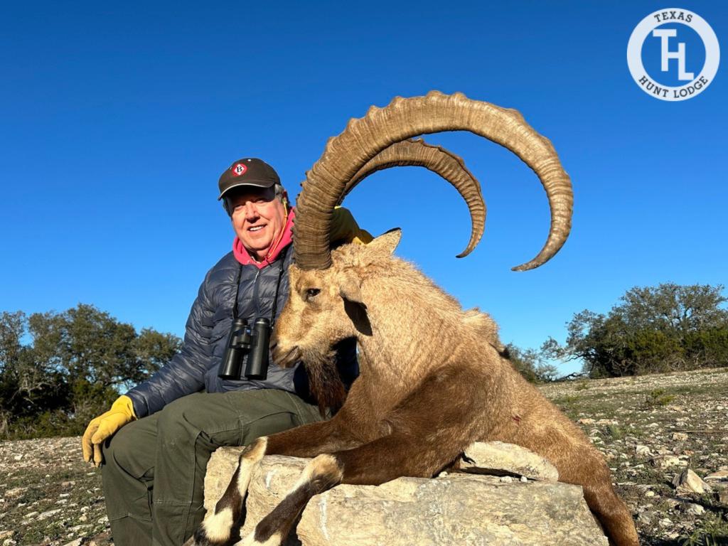 Nubian Ibex Hunting