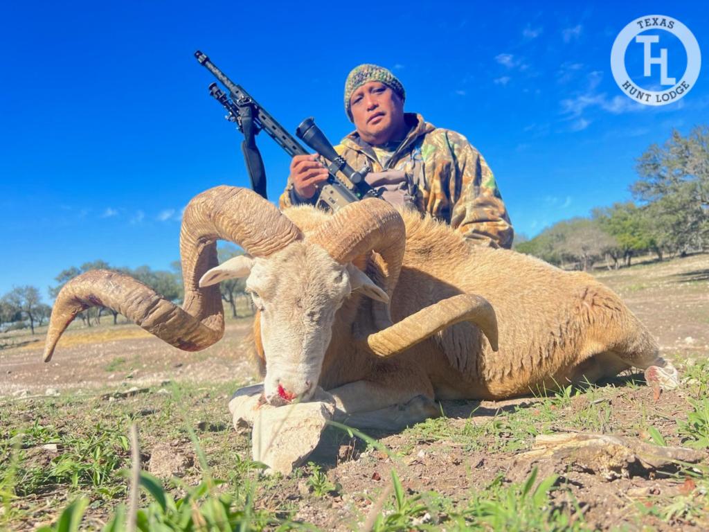 Texas Dall Sheep Hunting