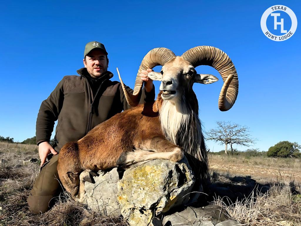 Transcaspian Urial Hunting