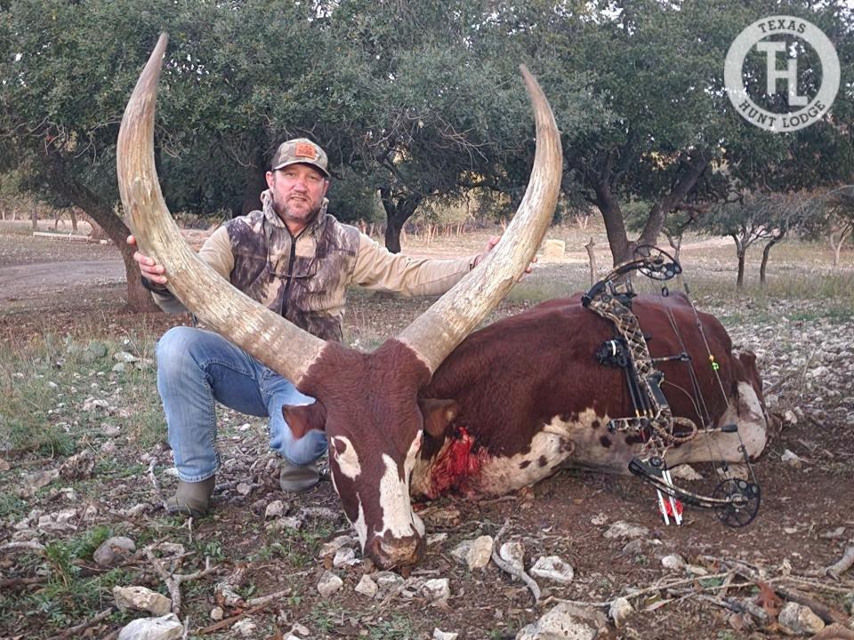 Watusi Hunting