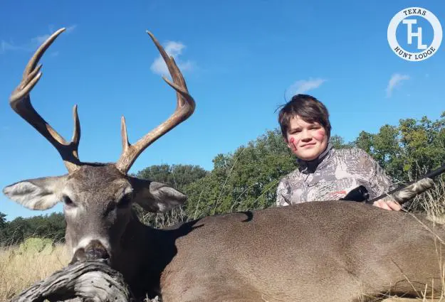 Whitetail Buck