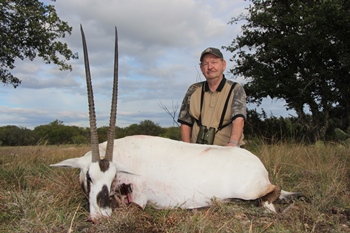 Arabian Oryx Hunting