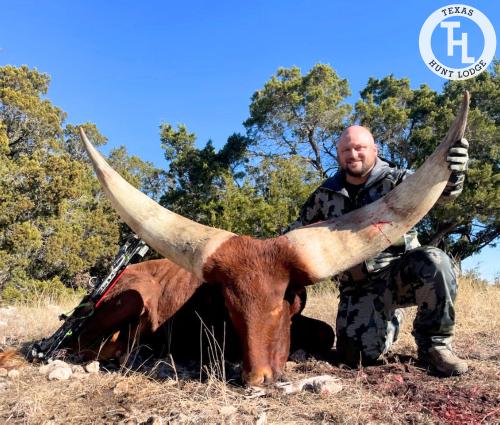 Watusi Hunting