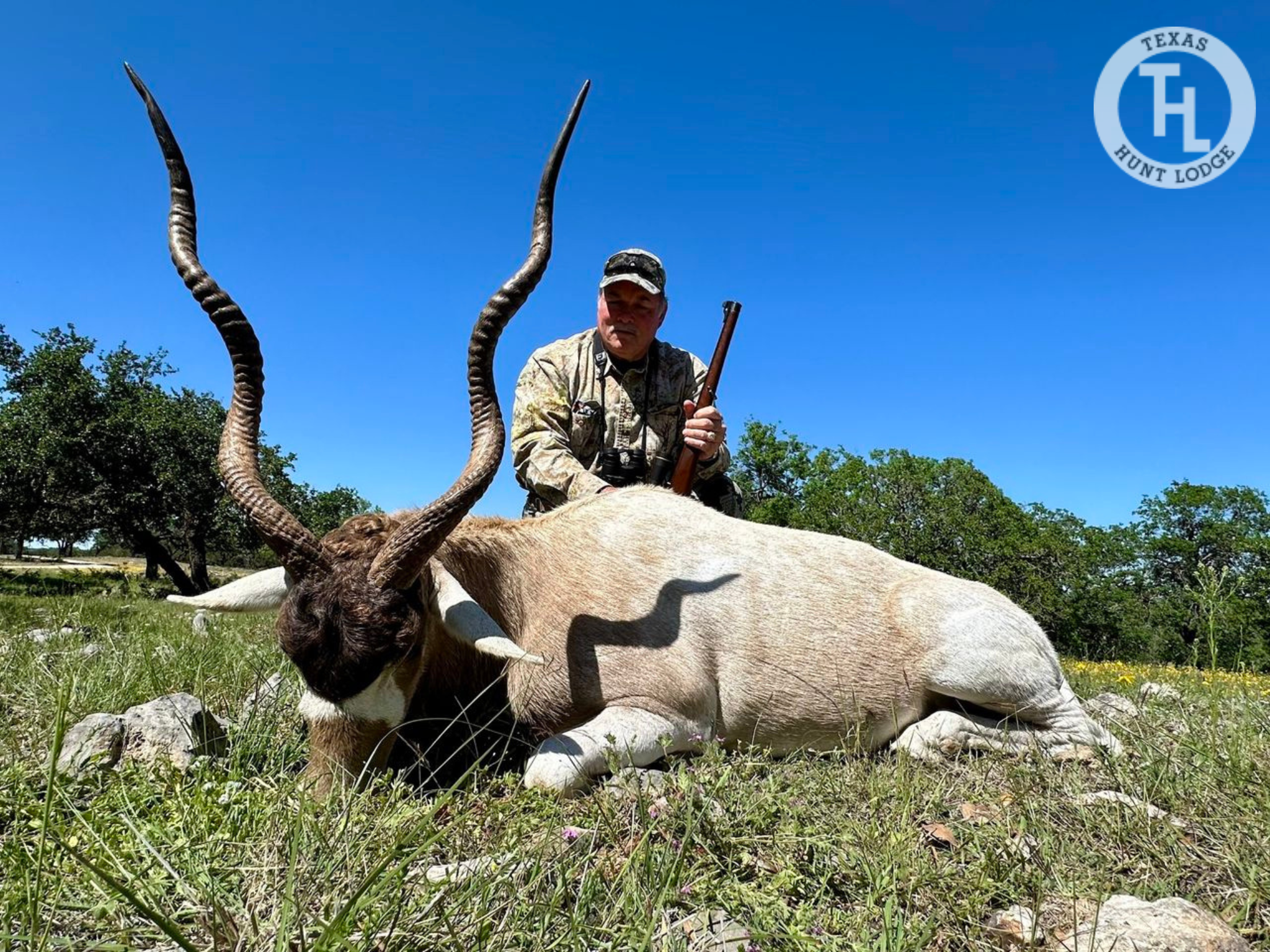 Addax