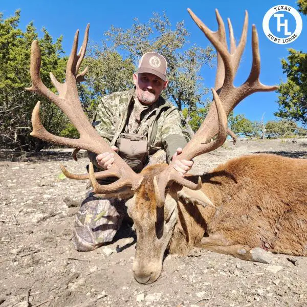 Fall Trophy Elk and Red Stag Hunts in Texas
