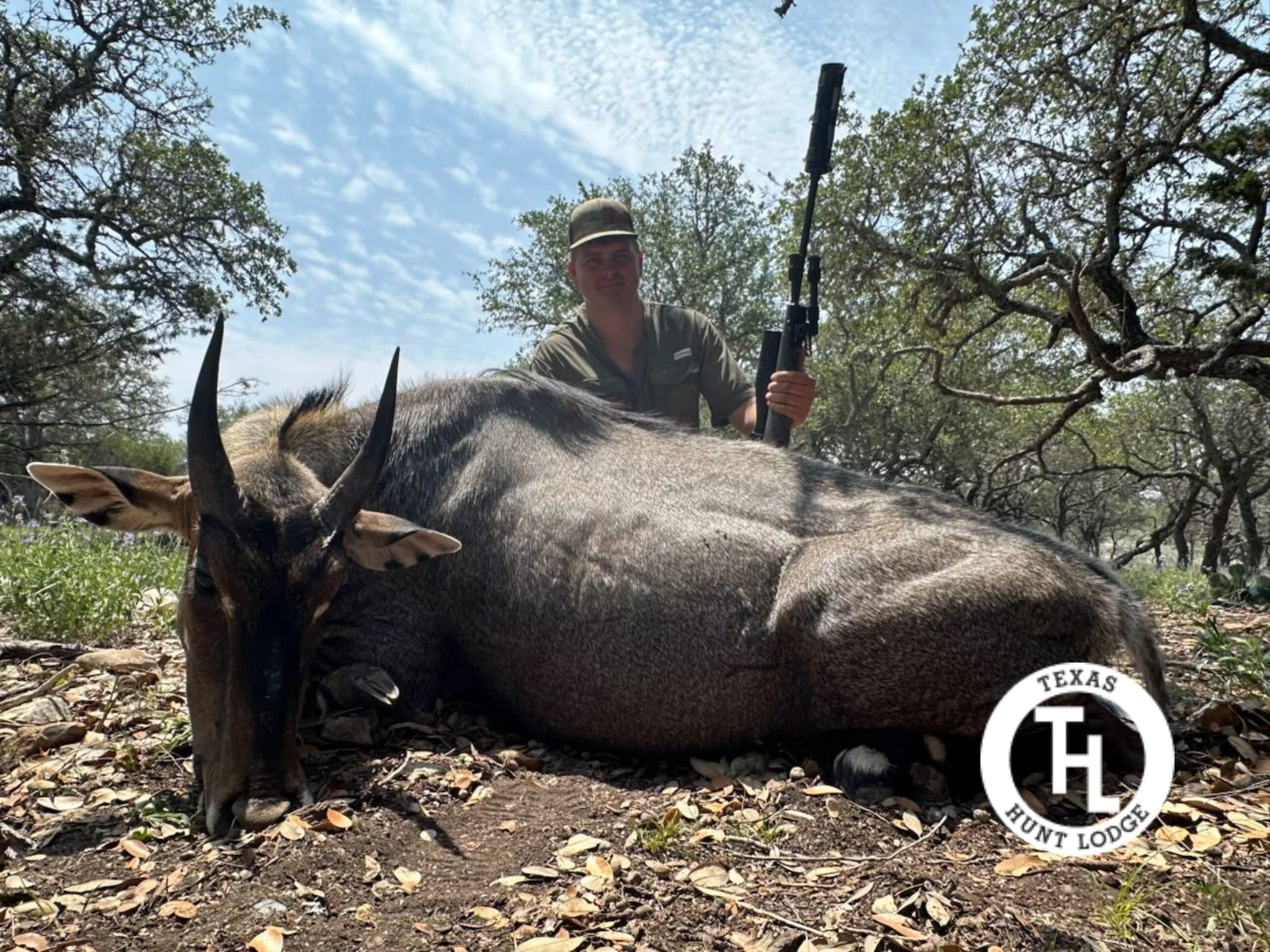 Hunter with nilgai hunt harvest in Texas