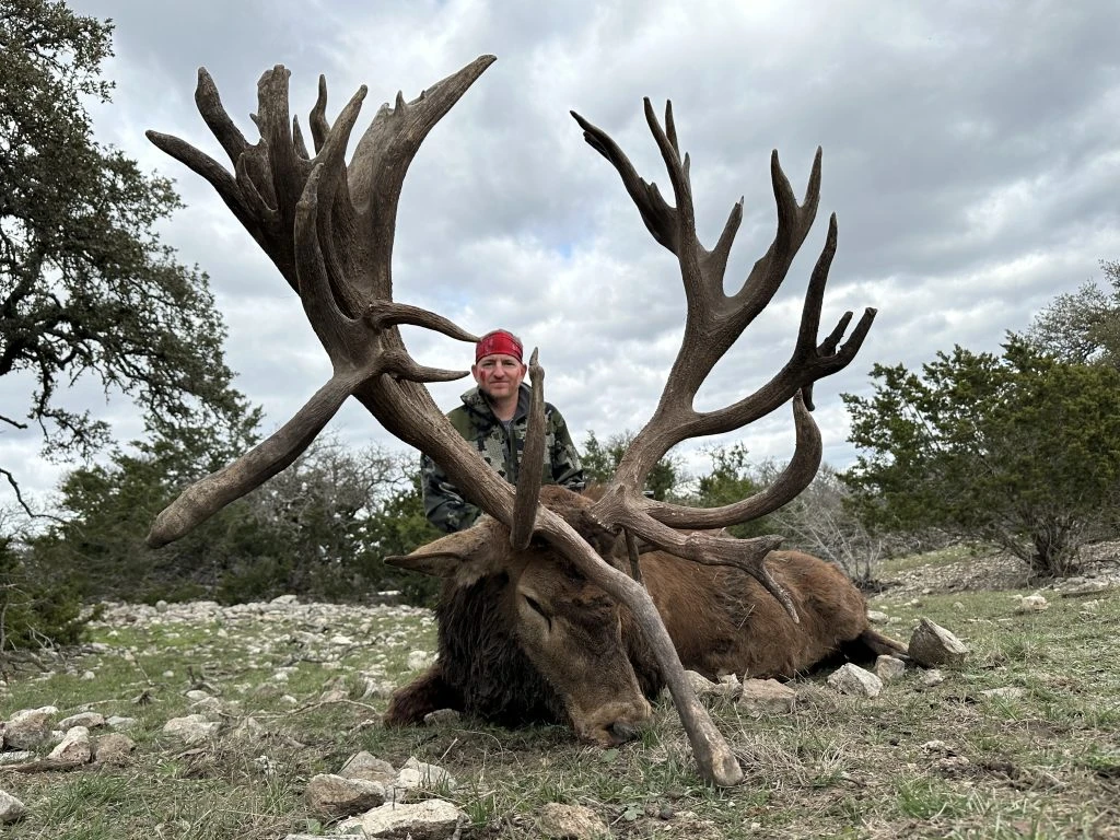 Hunter posing beside a symmetrical red stag lying on rocky Texas terrain