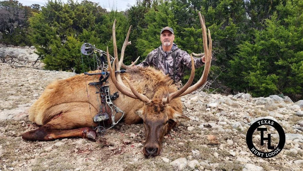 Elk (375-399 inches) bow hunt at Texas Hunt Lodge, January 2026