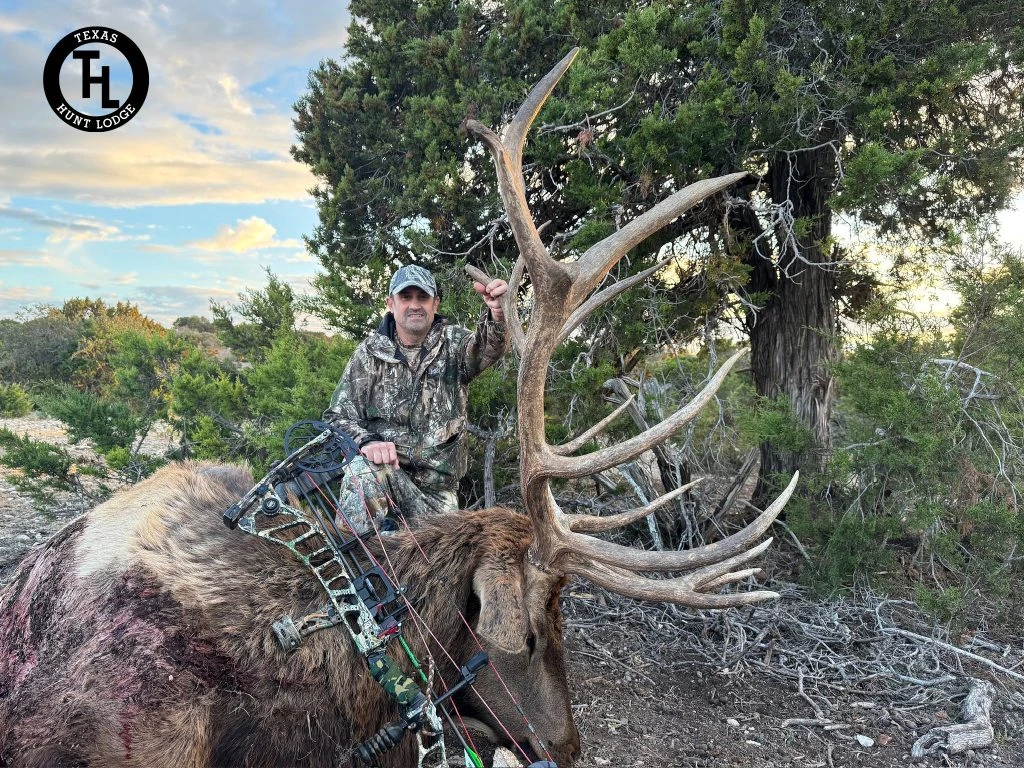 Elk (325-374 inches) bow hunt at Texas Hunt Lodge, January 2026