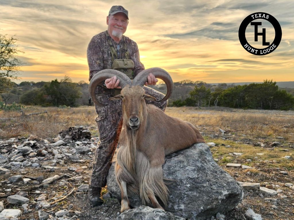Hunter with Aoudad sheep at Texas Hunt Lodge, January 2026