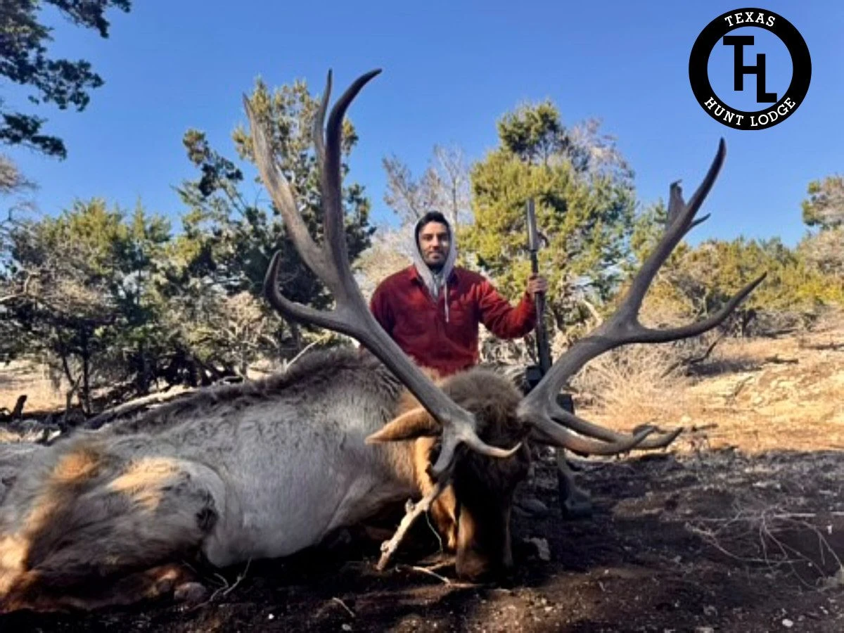 Texas Elk Hunting: Chase the Bugle in the Hill Country