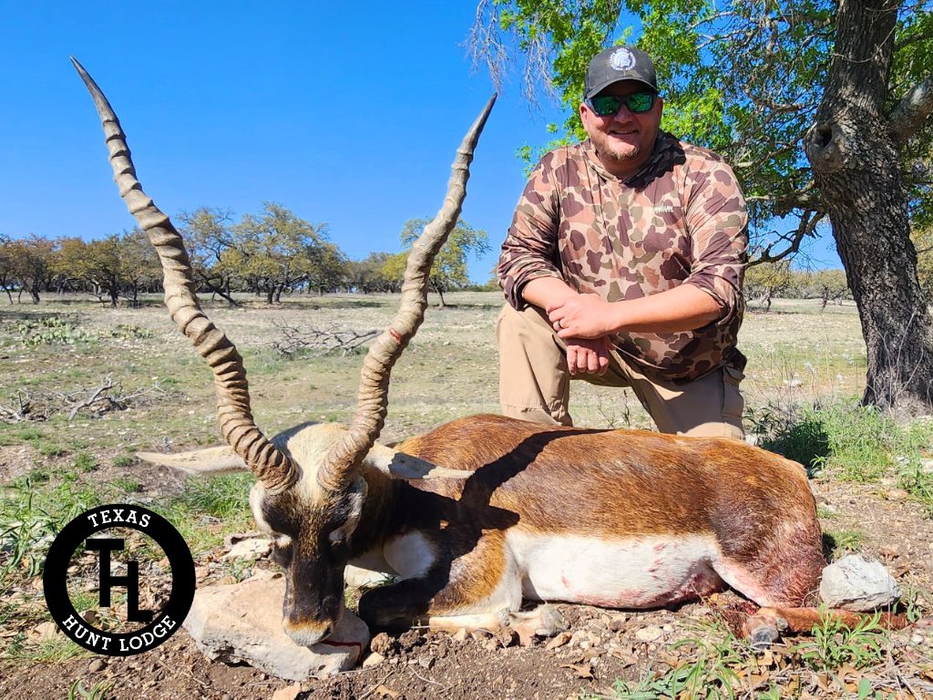 Record-class blackbuck antelope trophy taken on a guided Texas hunt at Texas Hunt Lodge