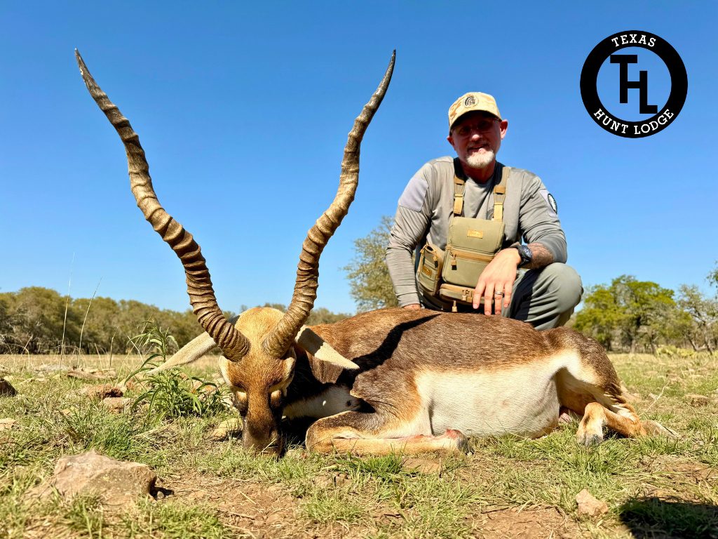 Trophy-class blackbuck antelope taken on a guided Texas hunt at Texas Hunt Lodge