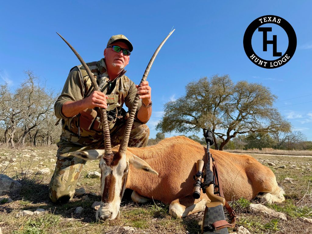 Scimbok trophy on a guided exotic hunt in Texas at Texas Hunt Lodge