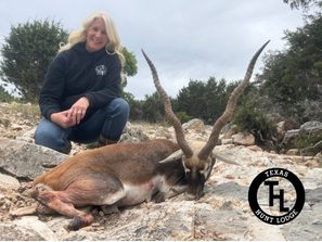 Blackbuck Antelope trophy taken on a guided Texas Hunt Lodge exotic hunt - April 2026