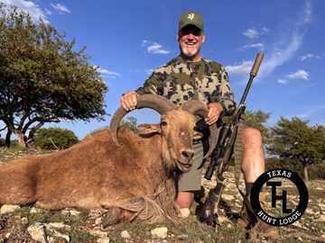 Trophy Aoudad Ram taken at Texas Hunt Lodge in the Texas Hill Country - April 2026