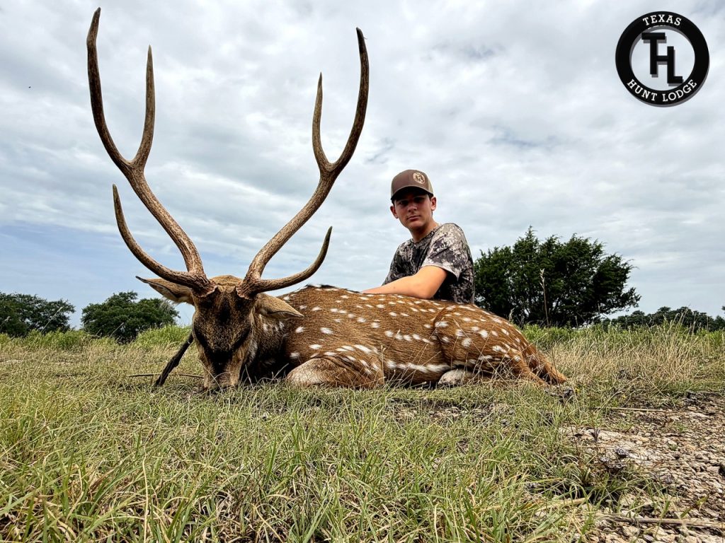 Hunter with a trophy Axis deer taken on a guided hunt at Texas Hunt Lodge in Texas