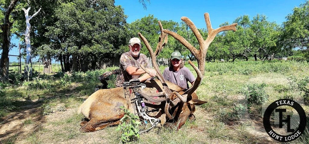 Bowhunter with a trophy bull elk harvested on a guided archery hunt at Texas Hunt Lodge in Texas